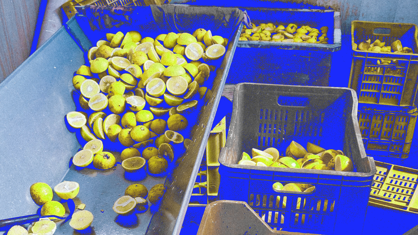 Fight your blues with Bergamot Essential Oil