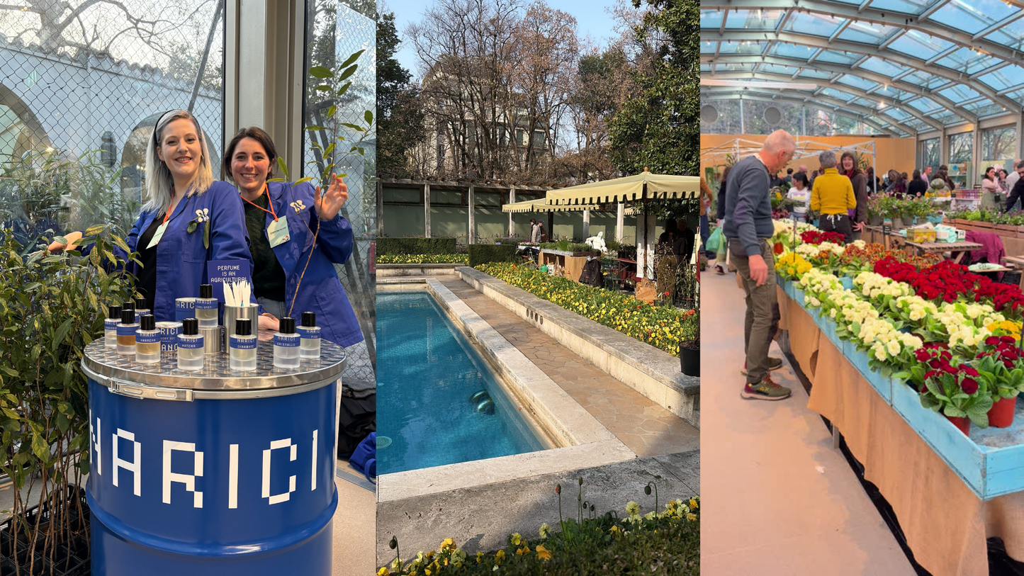 Narici and “Soffio di Primavera” at Villa Necchi Campiglio, Milan